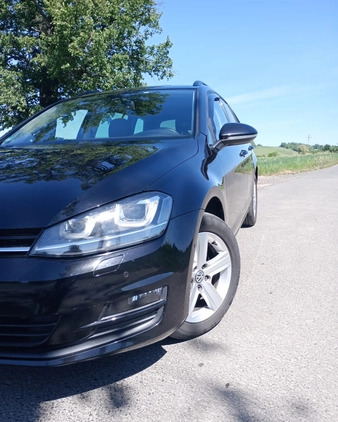 Volkswagen Golf cena 34900 przebieg: 202000, rok produkcji 2014 z Olszyna małe 352